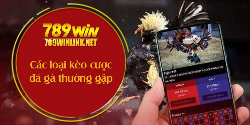 Các loại kèo cược đá gà thường gặp