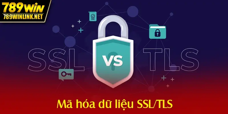 Mã hóa dữ liệu SSL/TLS